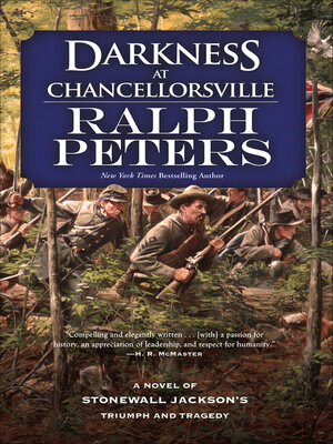 Darkness at Chancellorsville - ebook